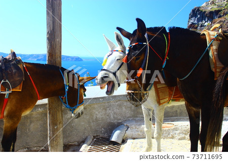 Superb view you want to see before you die Santorini Island Superb view you want to see before you die Santorini Superb view you want to see before you die Santorini Island Superb view you want to see before you die Santorini 73711695