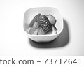 Cut strawberry (black and white) 73712641