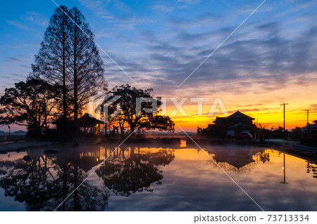 Seinoike (dawn) 73713334