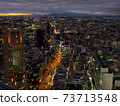 Tokyo Light Road 73713548
