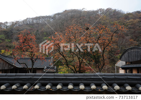 Naejangsa Temple, Baekyangsa Temple, Ssangeru, Baekaksan, Maple leaves Naejangsa Temple, Baekyangsa Temple, Ssangeru, Baekaksan, Maple leaves 73713817