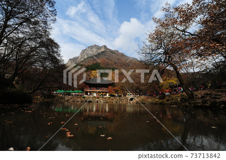Naejangsa Temple, Baekyangsa Temple, Ssangeru, Baekaksan, Maple leaves 73713842