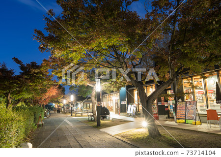 Kinshachi Yokocho Soharu Zone Autumn Night View 73714104