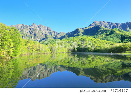 Fresh green mirrored pond 73714137