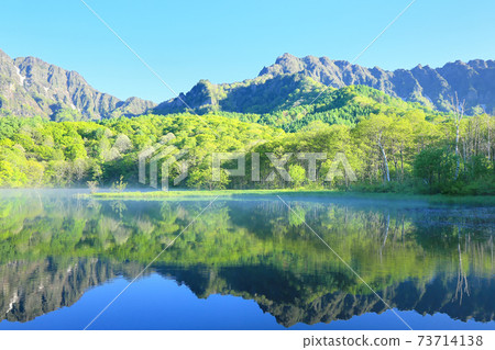 Fresh green mirrored pond 73714138