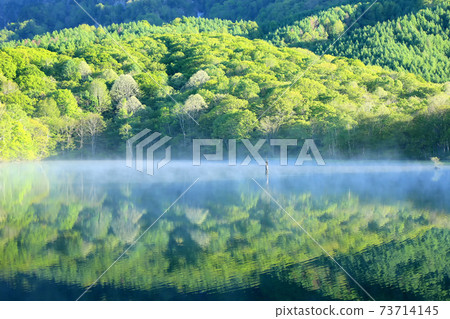 Fresh green mirrored pond Fresh green mirrored pond 73714145
