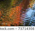 Autumn leaves reflected on the water 73714308