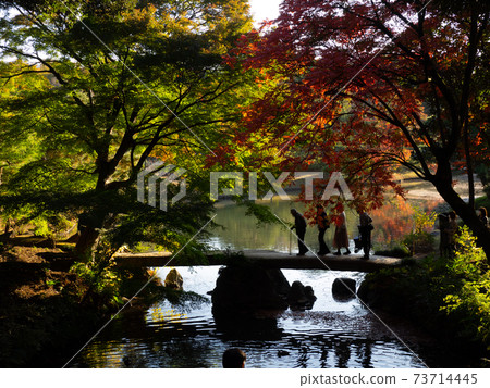People taking a walk in the autumn park People taking a walk in the autumn park 73714445