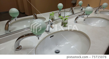 Toilet and mirror surface 73715078