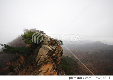 北漢山,國家公園,秋,楓,嶺 北漢山,國家公園,秋,楓,嶺 73716401