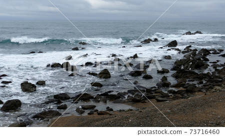 鯡魚群磯崎海岸 鯡魚群磯崎海岸 73716460