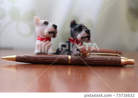 Pen and dog 73716832
