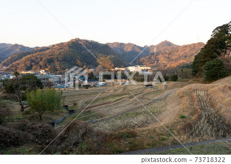 Hayama winter rice terraces 73718322