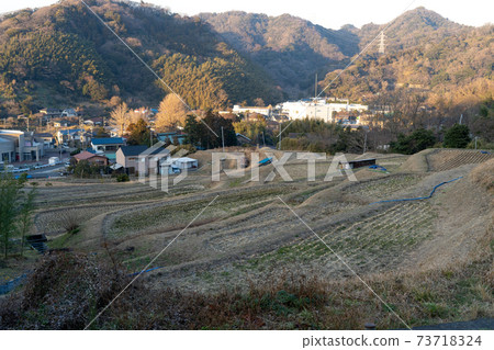 羽山冬季水稻梯田 73718324