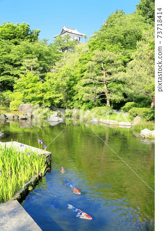 新鮮的綠色金澤城堡公園 73718414