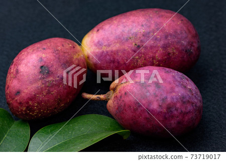 Harvested fruit 73719017