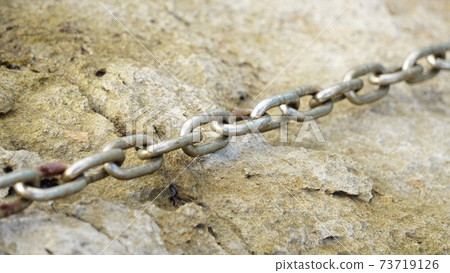 Tensioned chain 73719126