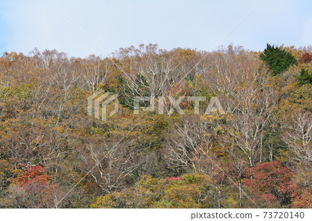 Nasu Heisei no Mori / Komadome Waterfall#46 Nasu Heisei no Mori / Komadome Waterfall#46 73720140
