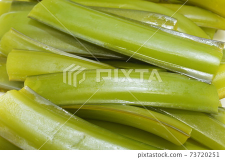新鮮採摘!鮮綠色新鮮煮的裙帶菜海藻全尺寸圖像 新鮮採摘!鮮綠色新鮮煮的裙帶菜海藻全尺寸圖像 73720251