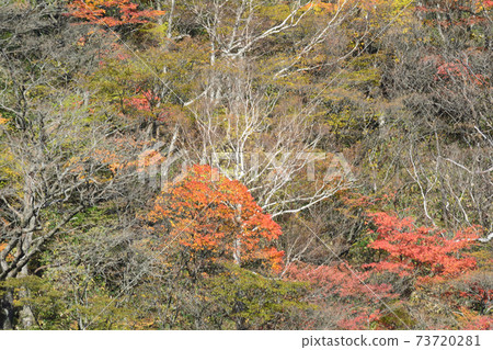 Nasu Heisei no Mori / Komadome Waterfall # 54 Nasu Heisei no Mori / Komadome Waterfall # 54 73720281