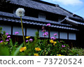 Dandelion fluff and the original scenery of Japan 73720524