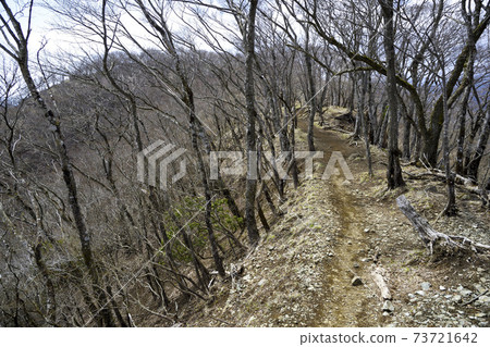 Tanzawa Mountains in early spring [Nabewariyama] Near the summit [April] 73721642