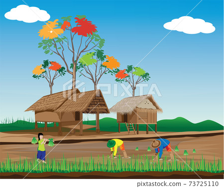 farmer work in paddy field vector design - Stock Illustration [73725110 ...