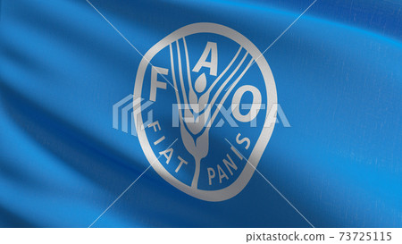 Food And Agriculture Organisation Logo Fao Png Images | PNGEgg