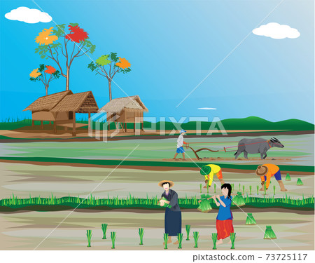farmer work in paddy field vector design - Stock Illustration [73725117 ...