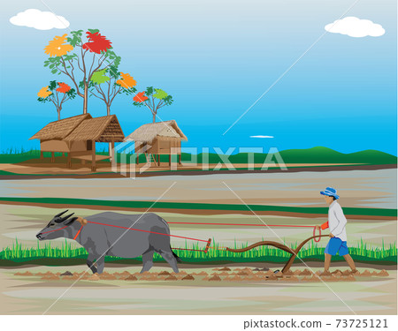 farmer work in paddy field vector design 73725121