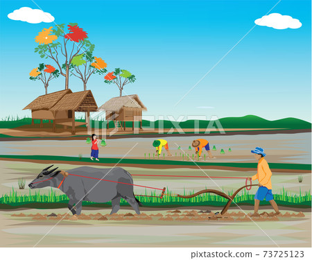 farmer work in paddy field vector design 73725123