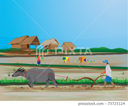 farmer work in paddy field vector design - Stock Illustration [73725124 ...