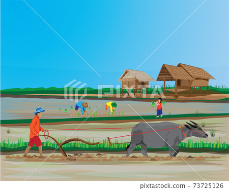 farmer work in paddy field vector design - Stock Illustration [73725126 ...