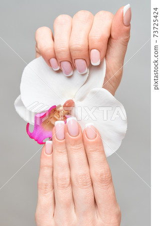 Beautiful Female Hands with French manicure over light grey background 73725424