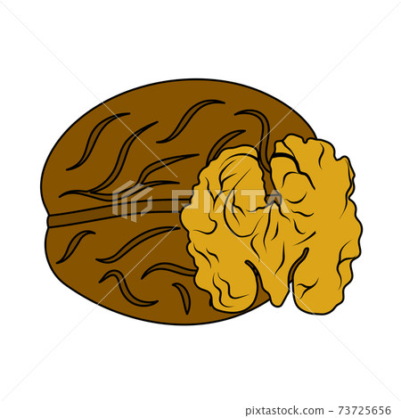 Walnut Icon Walnut Icon 73725656