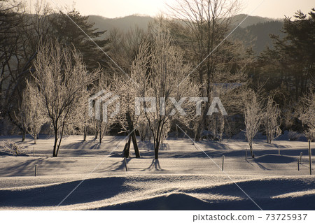 長野縣白馬村,奈良川沿晨的陽光照耀 長野縣白馬村,奈良川沿晨的陽光照耀 73725937
