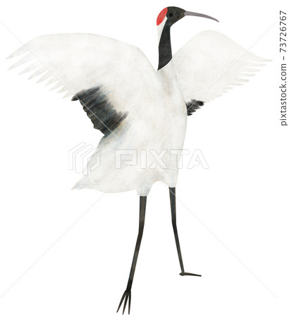 Crane hand-drawn illustration material 73726767