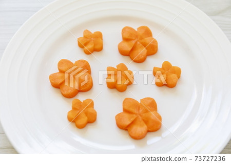 Carrot ornamental twisted plum Carrot ornamental twisted plum 73727236