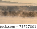 Water mist rising from the river on a winter morning 73727801
