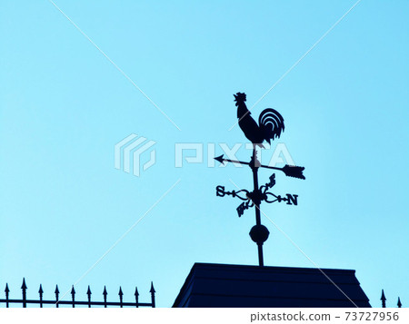 The silhouette of the weathercock stands out in the pale blue sky 73727956
