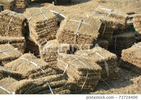 Lawn Lawn 73728400