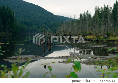 Alouette Lake in the Golden Ears Provincial Park, British Columbia, Canada 73729033