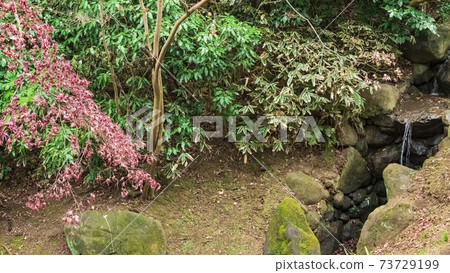 Winter at Sankeien Garden, a famous tourist attraction in Yokohama City, Kanagawa Prefecture 73729199