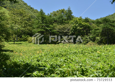  Kirifurikogen 73729553