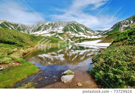 新鮮的綠色立山高山綠道 73729928