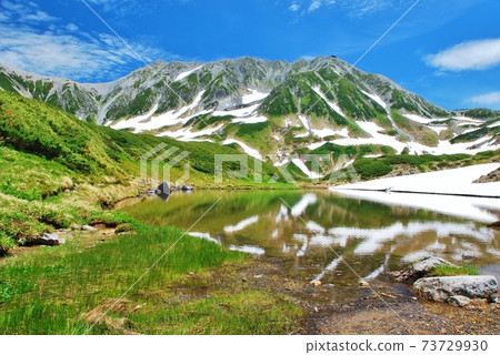 新鮮的綠色立山高山綠道 73729930