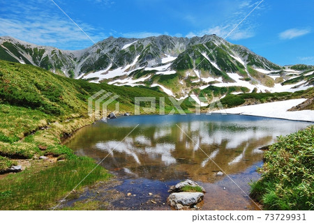 新鮮的綠色立山高山綠道 新鮮的綠色立山高山綠道 73729931