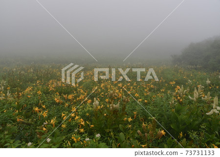 Hakuba Happoone 73731133