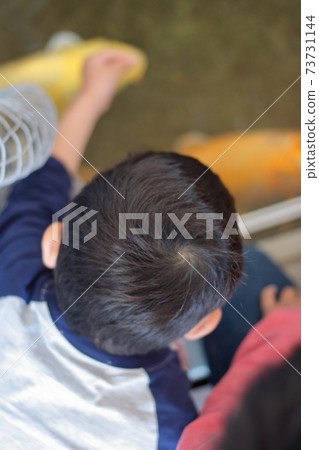 4-year-old child feeding carp [Overview] 73731144