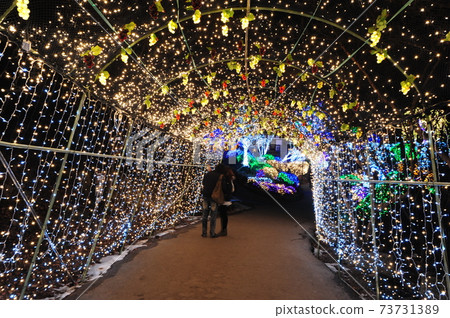 晨靜植物園,夜景,燈光,公園 晨靜植物園,夜景,燈光,公園 73731389